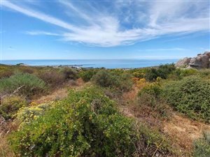 1.2 ha Farm in Britannica Heights