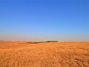 573.1 ha Farm in Machadodorp