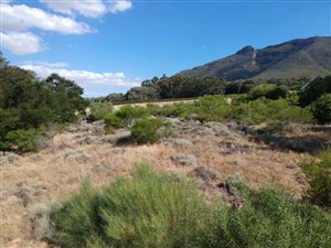 3801 m² Land available in Riebeek West
