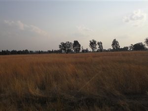 2 ha Land available in Hillside AH