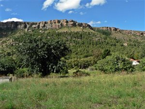 953 m² Land available in Lady Grey