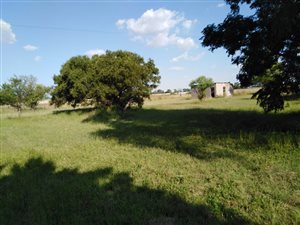2.4 ha Farm in Nanescol