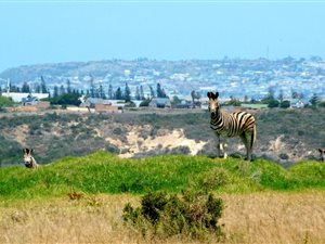 432 m² Land available in Hartenbos