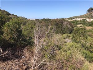 906 m² Land available in Island View