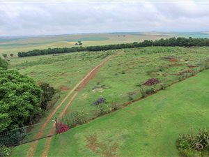 85653 ha Farm in Elandsfontein AH