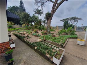 3 Bed House in Veld En Vlei