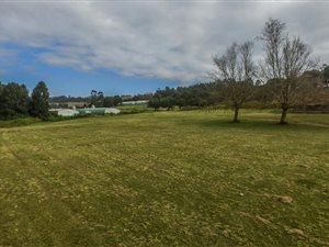14 ha Farm in Waterfall