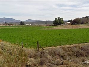 4.5 ha Farm in Touws Rivier