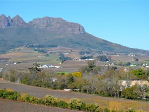 24 ha Farm in Stellenbosch Agricultural