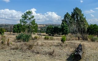 9.2 ha Smallholding in Rietfontein