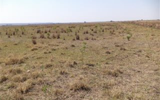 35.9 ha Farm in Onverwacht