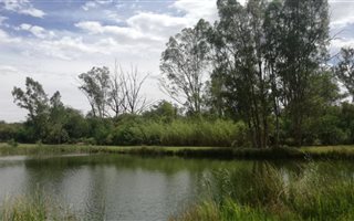 6 ha Farm in Groot Marico