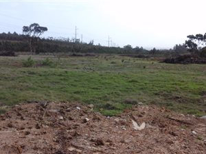 9.2 ha Farm in Firlands