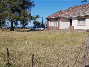 8.6 ha Farm in East London Central