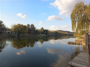 4 Bed House in Maselspoort