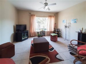 1 Bed Apartment in Morningside
