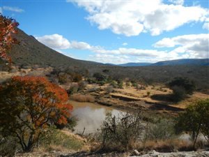 3657 ha Farm in Cathcart
