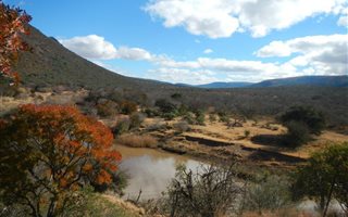 3657 ha Farm in Cathcart