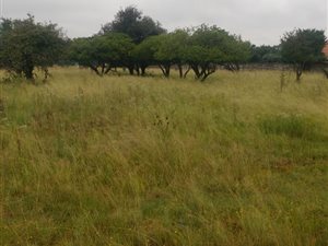 4 ha Land available in Benoni AH