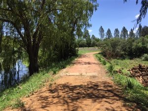 Smallholding in Uitvlugt