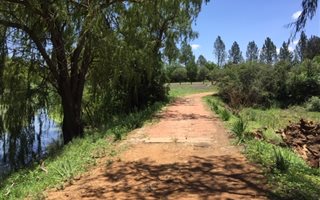 Smallholding in Uitvlugt
