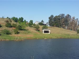 8 ha Farm in Lions River