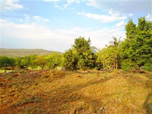 1000 m² Land available in Hazyview