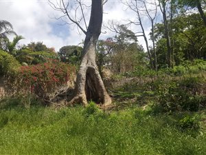 1885 m² Land available in Umtentweni