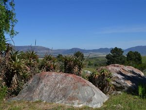 225.6 ha Farm in Tulbagh
