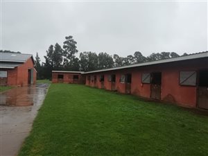 325 ha Farm in Mooi River