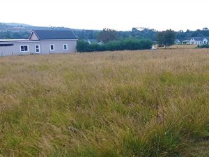 1716 m² Land available in Howick West