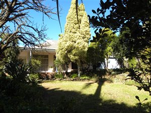 3 Bed House in Somerset East