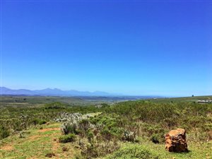 300 m² Land available in Gondwana Game Reserve