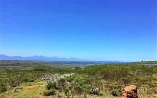 300 m² Land available in Gondwana Game Reserve