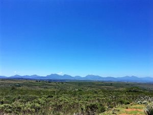 300 m² Land available in Gondwana Game Reserve