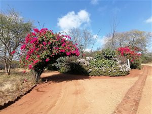 2 ha Farm in Dalmada AH
