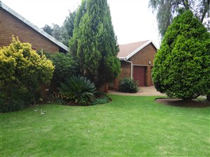 4 Bedroom House in Petersfield
