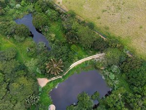 1434 m² Land available in Elaleni Coastal Forest Estate