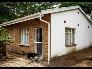1 Bed Garden Cottage in Escombe