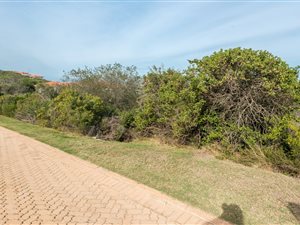1760 m² Land available in Schoongezicht
