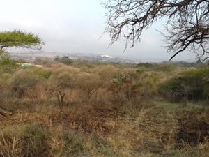 2.5 ha Land available in Ashburton