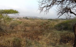 2.5 ha Land available in Ashburton