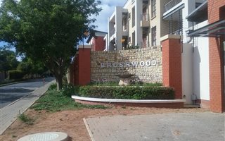 1 Bedroom Apartment in Ferndale