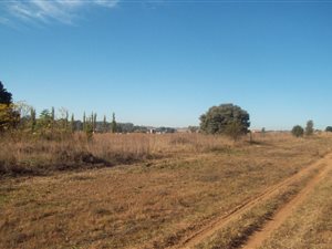 2 ha Farm in Bredell AH