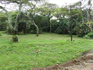 6661 m² Land available in Park Rynie