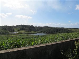 12.2 ha Farm in Marina Beach