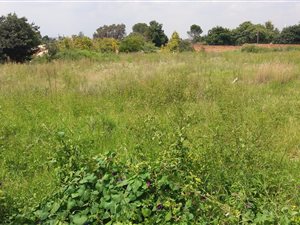 18000 m² Industrial space in City Deep