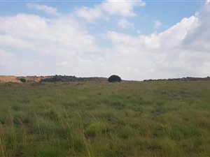 1415 m² Land available in Berg en Dal