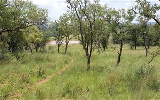 197 ha Farm in Buffelshoek AH