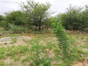 1913 m² Land available in Orkney